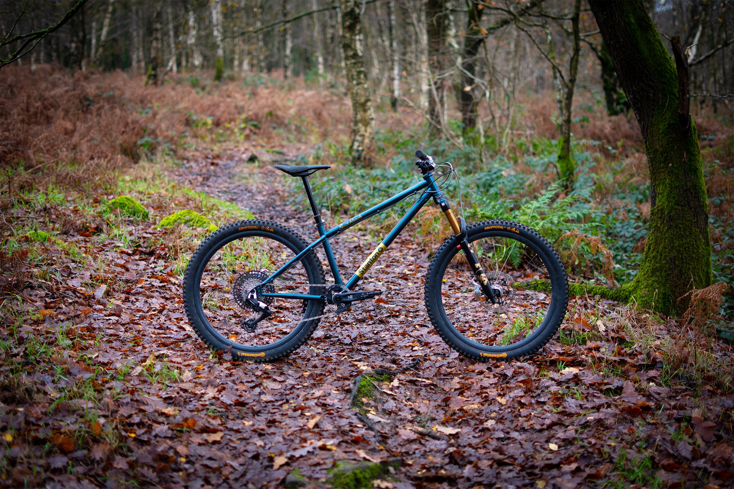 Switchback GenV – Stanton Bikes