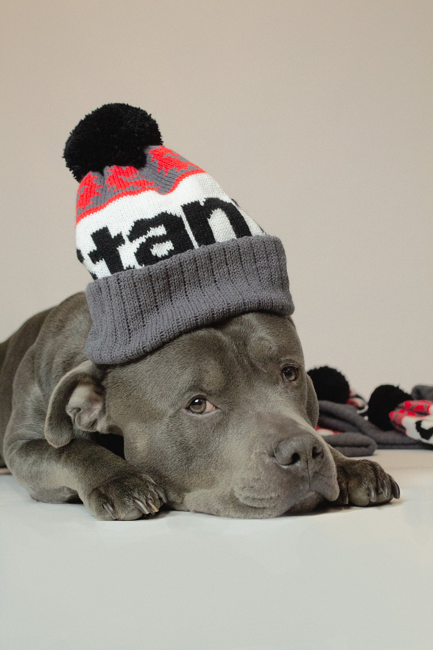 Stanton Bobble Hat